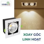 Đèn led hộp âm trần rọi Topaz 2*10W GL-2*10SS-V227-V/TT/T Kingled